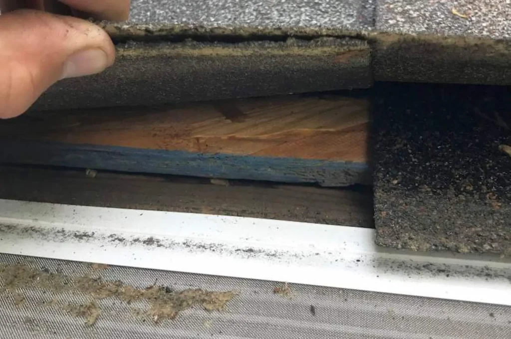 Common Signs You Need a Drip Edge