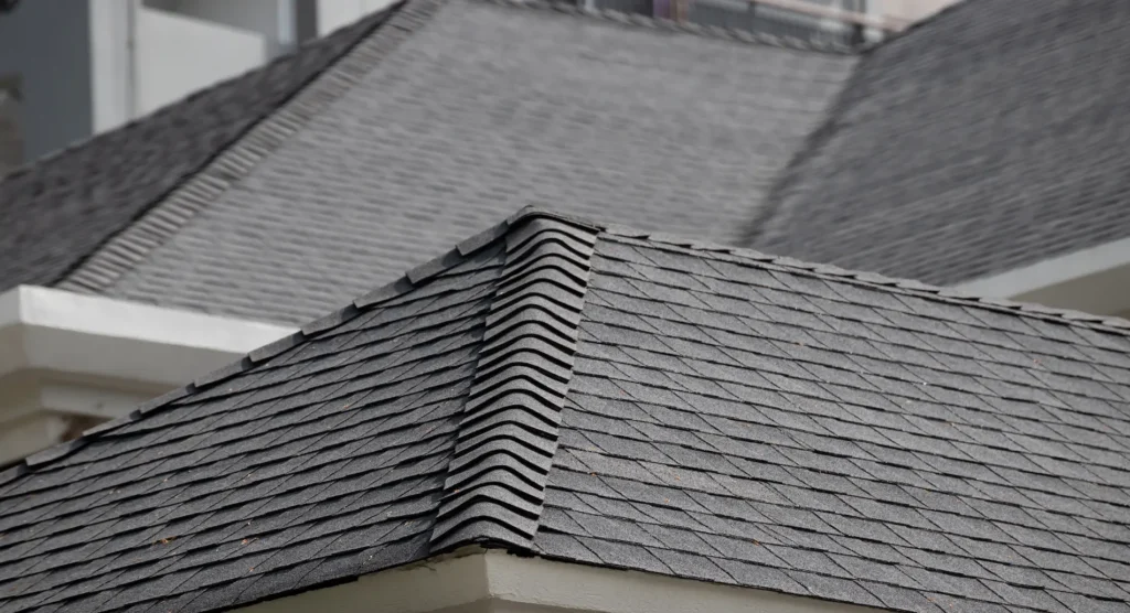 Importance of Professional Roofing Services in Bellport