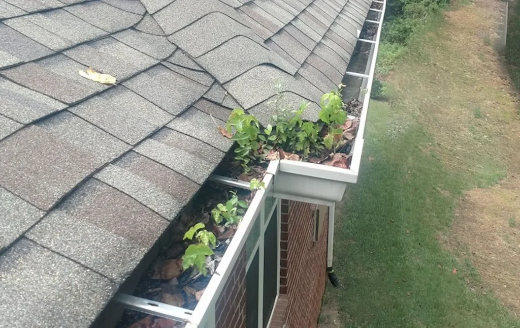 Clogged Gutters: Small Issue, Big Roof Damage