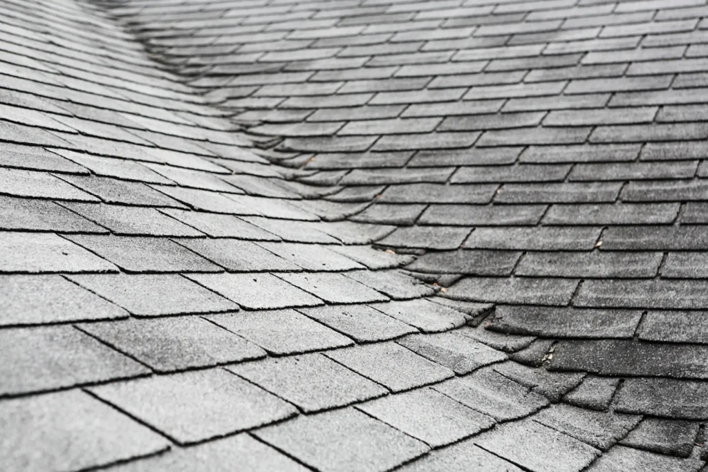 What Are the Signs Your Shingles Need Replacement?
