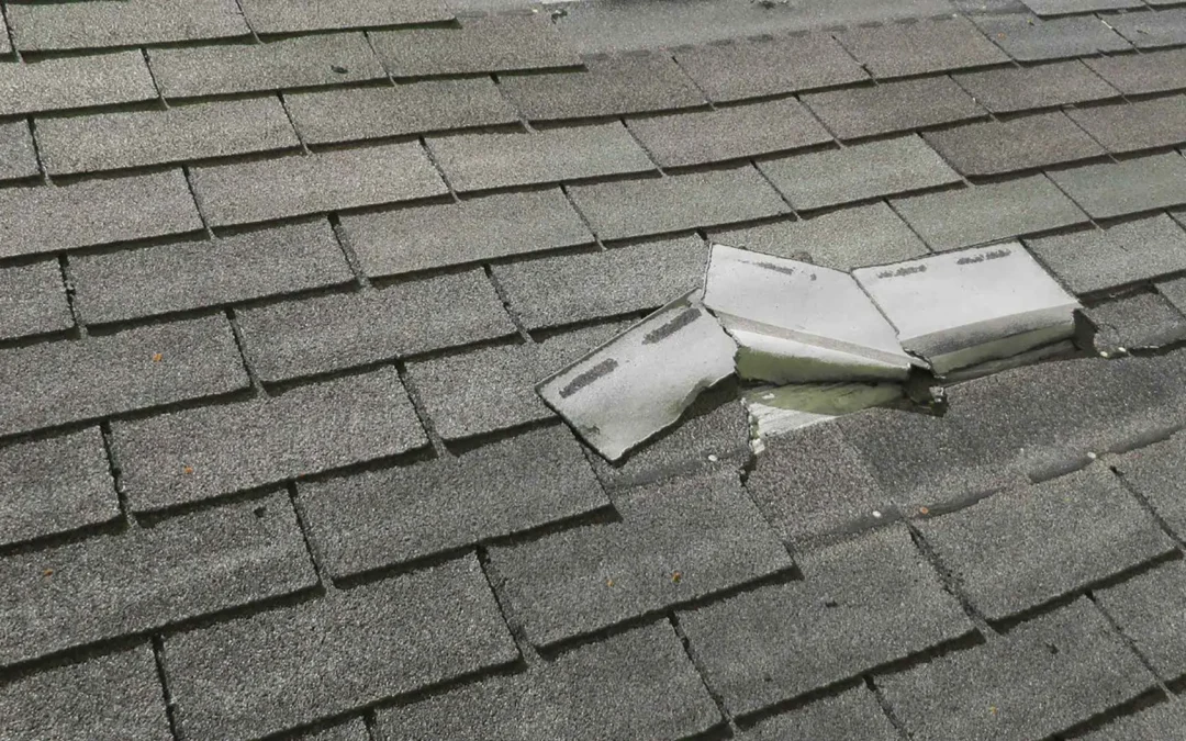 Signs of Roof Damage