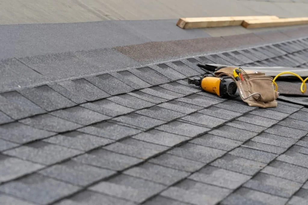 The Importance of Professional Asphalt Shingle Installation